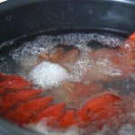 lobsterroll-02 lobsterroll 02 150x150 Lobster Roll Recipe