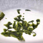 greenteamoussecake 22 150x150 Green Tea Mousse Cake
