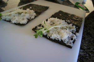 salmon-temaki-11