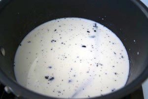 vanillabean-05