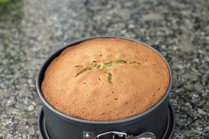 greenteamoussecake-12